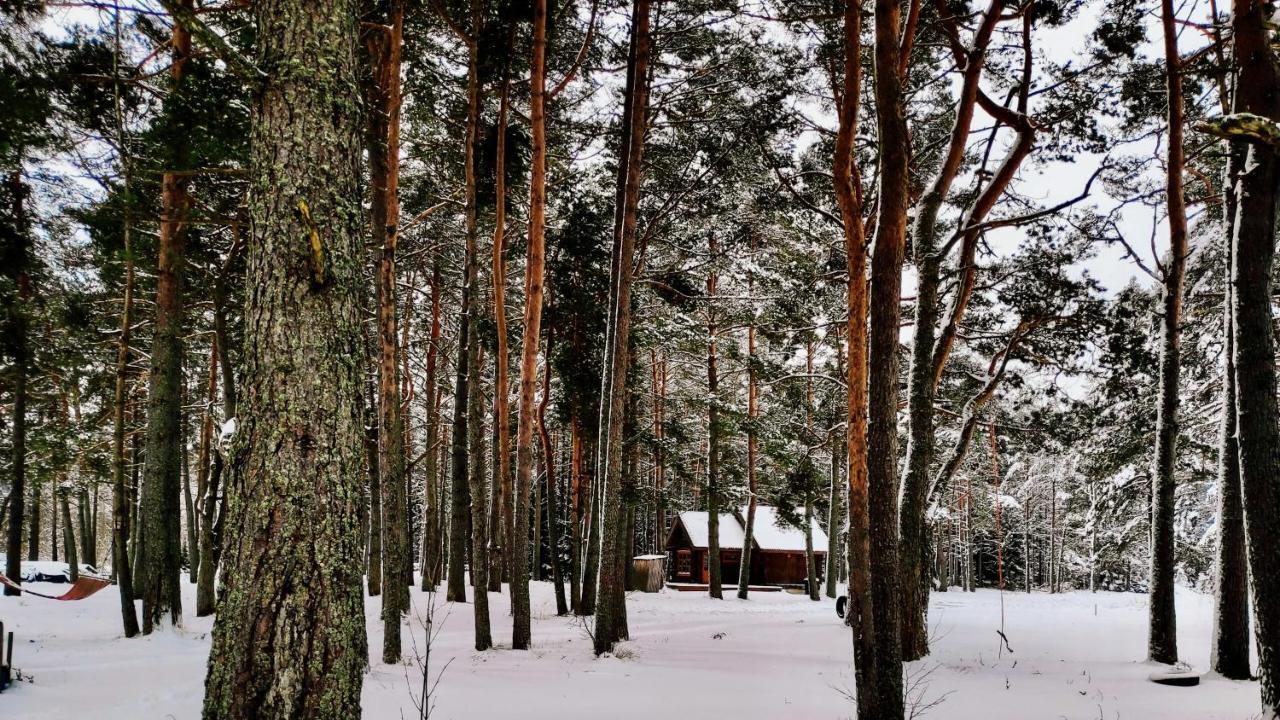 Villa Joeaare Puhkekeskus Langa Exterior foto